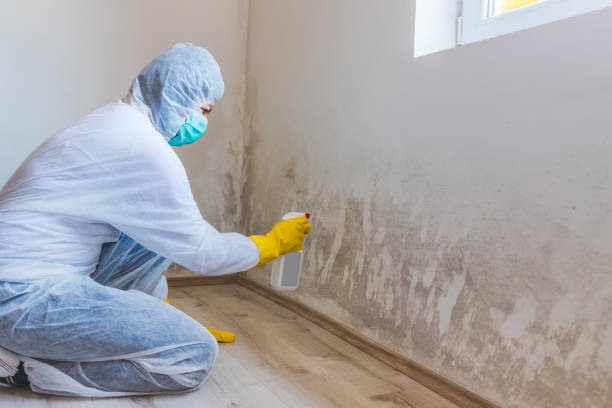 Crawl Space Mold Remediation treatment of floor joists in Long Beach
